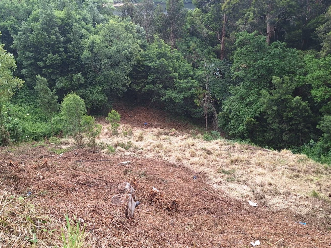 Terreno para Venda em Oliveira do Douro Foto 2
