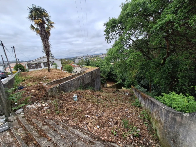 Terreno para Venda em Oliveira do Douro Foto 28