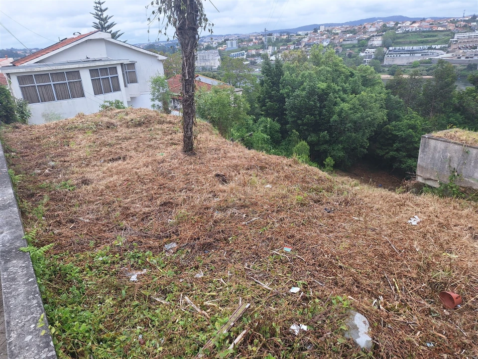 Terreno para Venda em Oliveira do Douro Foto 5