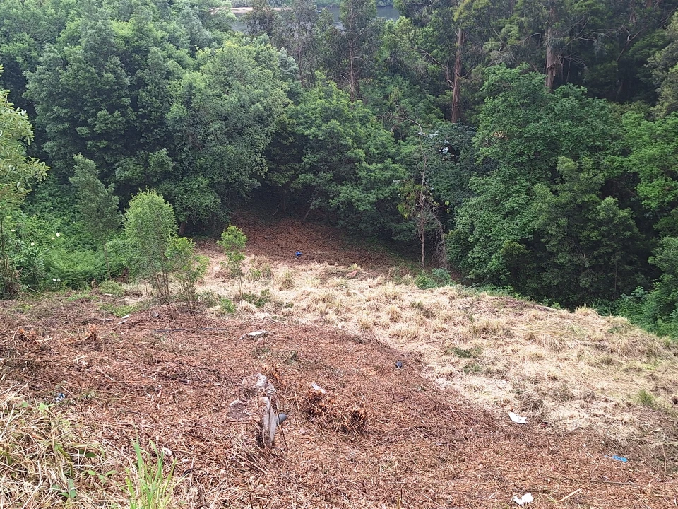 Terreno para Venda em Oliveira do Douro Foto 2