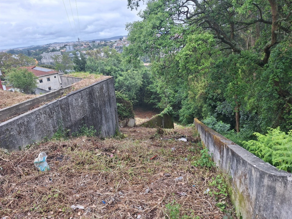 Terreno para Venda em Oliveira do Douro Foto 29