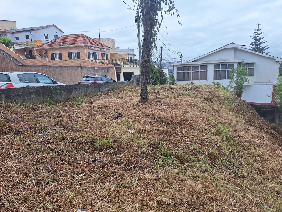 Terreno para Venda em Oliveira do Douro Foto 16