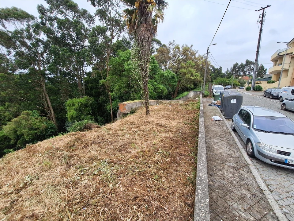 Terreno para Venda em Oliveira do Douro Foto 10
