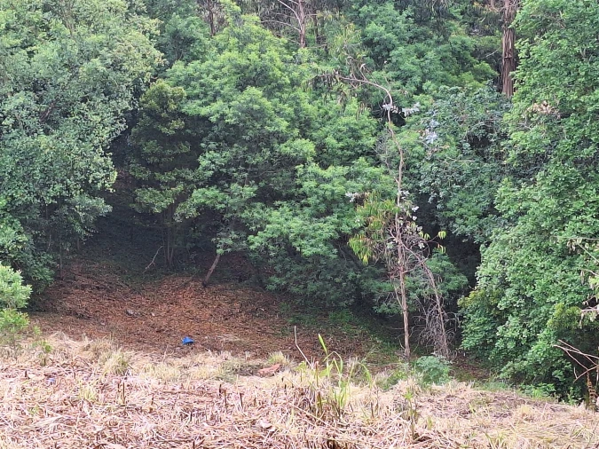 Terreno para Venda em Oliveira do Douro Foto 7