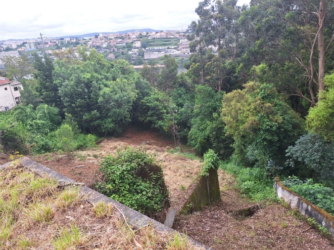 Terreno para Venda em Oliveira do Douro Foto 17