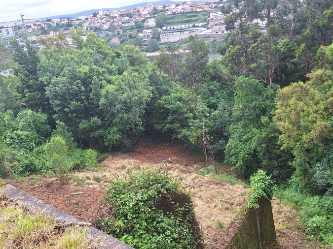 Terreno para Venda em Oliveira do Douro Foto 23