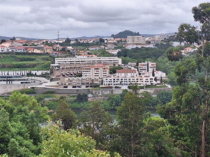 Terreno para Venda em Oliveira do Douro Foto 9