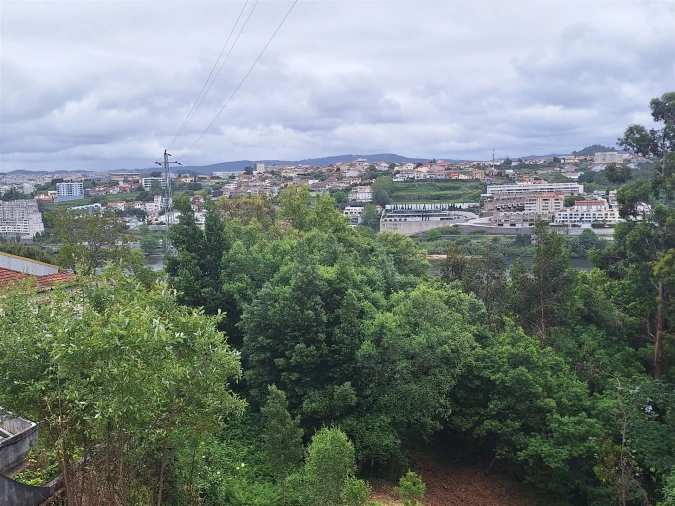 Terreno para Venda em Oliveira do Douro Foto 14
