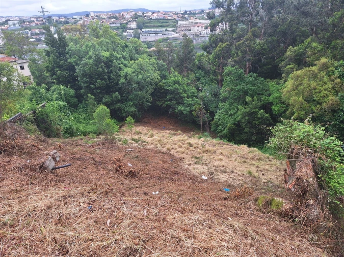 Terreno para Venda em Oliveira do Douro Foto 2