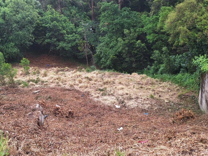 Terreno para Venda em Oliveira do Douro Foto 11