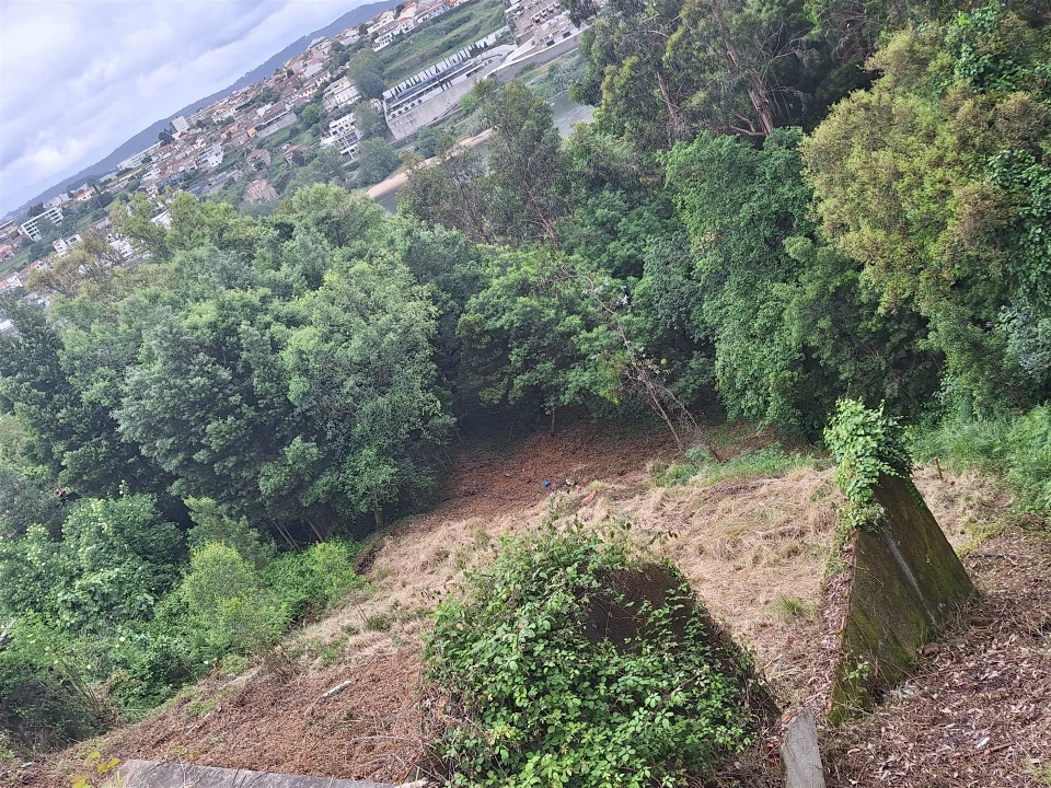 Terreno para Venda em Oliveira do Douro Foto 24