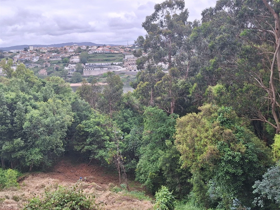 Terreno para Venda em Oliveira do Douro Foto 18