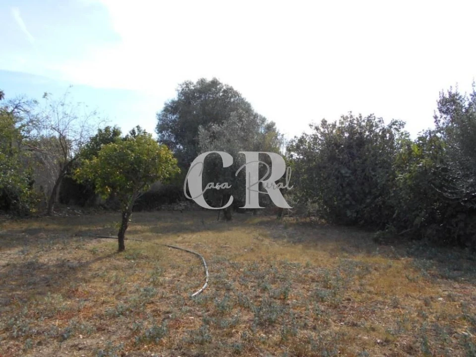 Moradia T2 para Venda em Ansião Foto 32