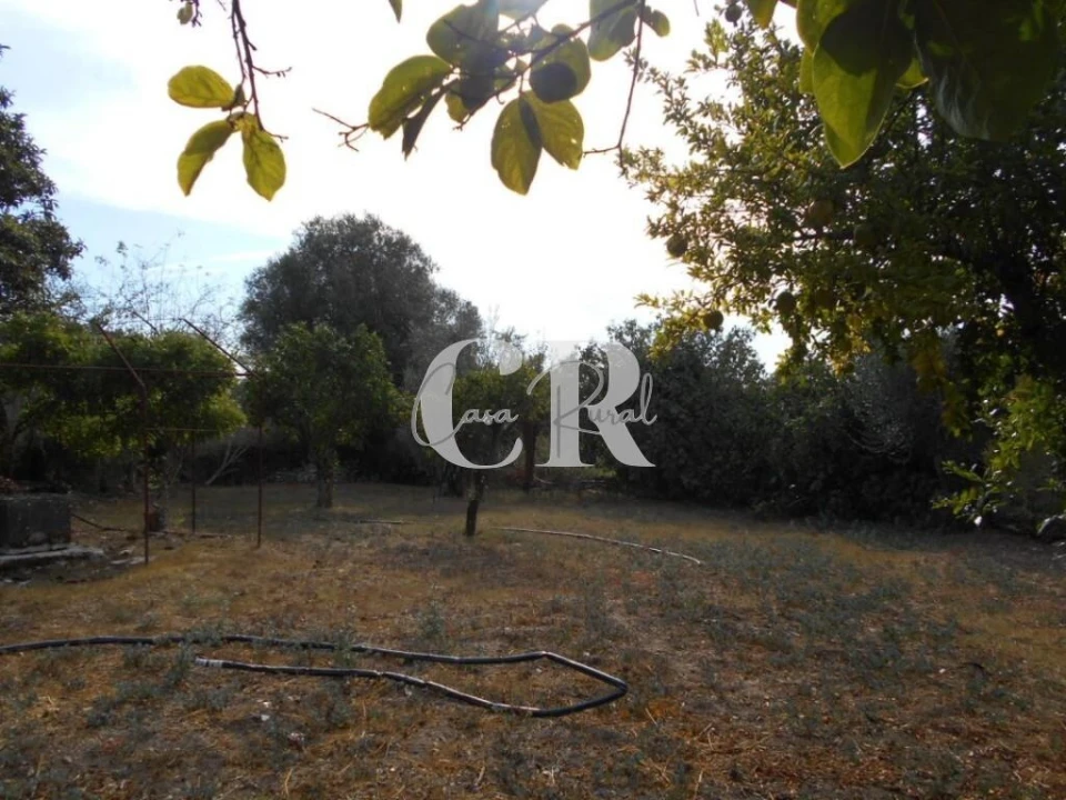 Moradia T2 para Venda em Ansião Foto 31