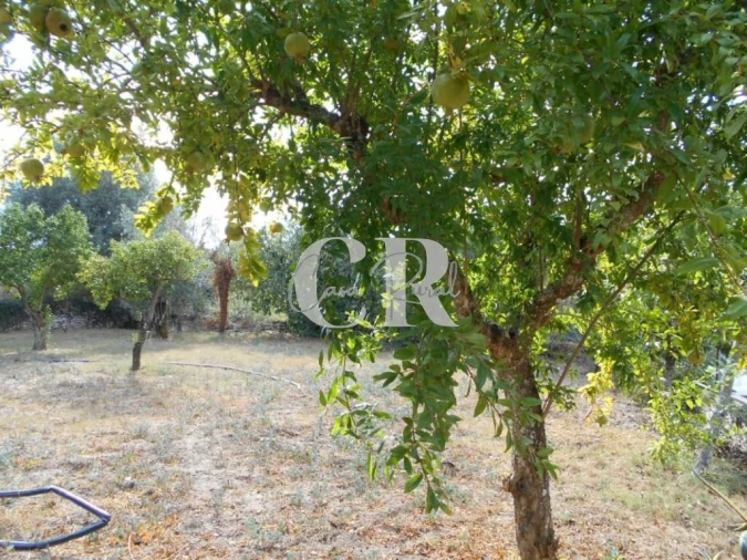 Moradia T2 para Venda em Ansião Foto 28