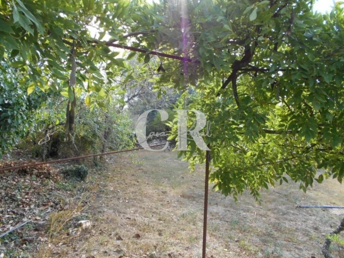 Moradia T2 para Venda em Ansião Foto 27