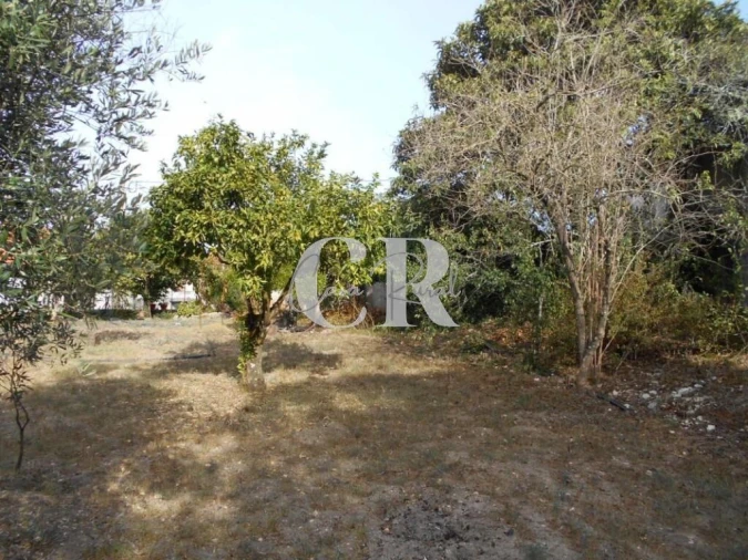 Moradia T2 para Venda em Ansião Foto 18