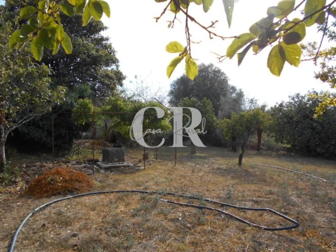 Moradia T2 para Venda em Ansião Foto 30