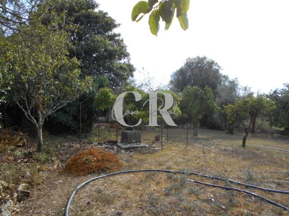 Moradia T2 para Venda em Ansião Foto 24