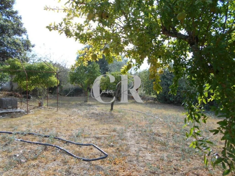 Moradia T2 para Venda em Ansião Foto 22