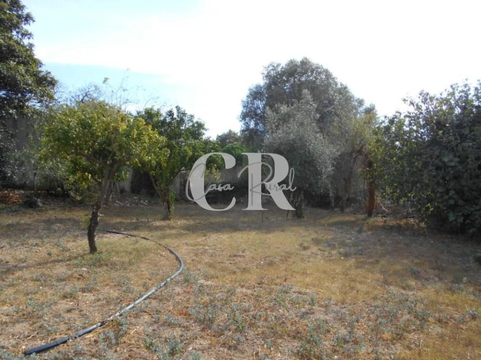 Moradia T2 para Venda em Ansião Foto 23