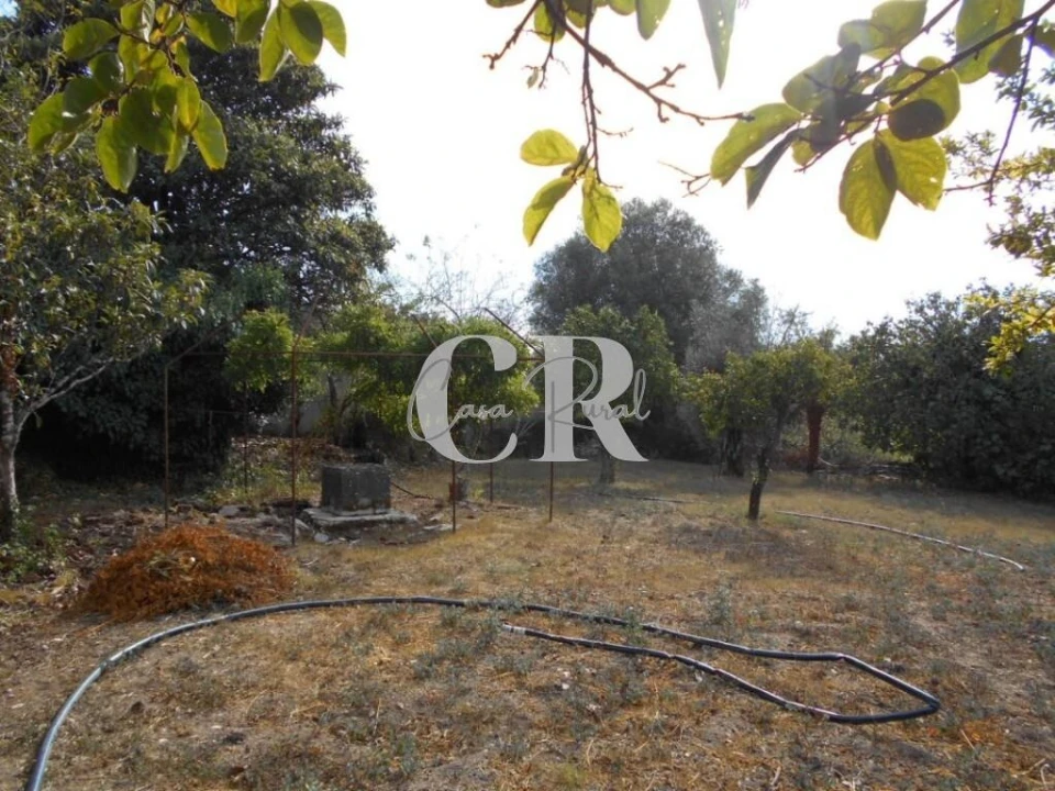 Moradia T2 para Venda em Ansião Foto 30