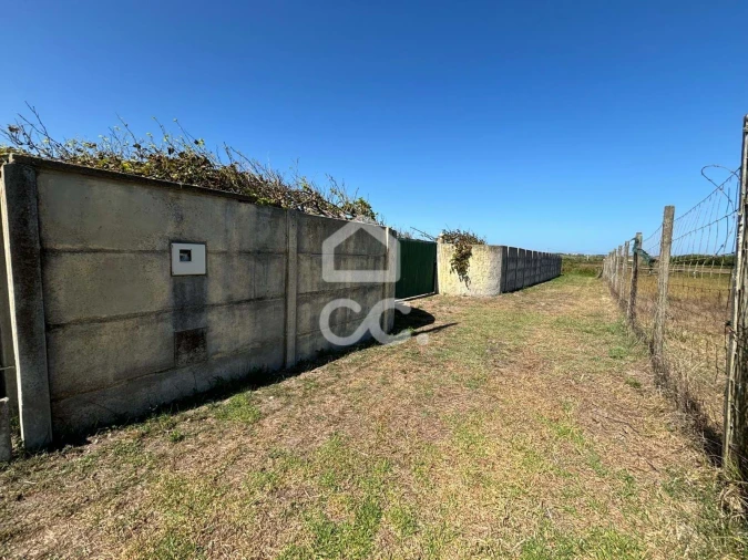 Terreno para Venda em Vieira de Leiria Foto 4