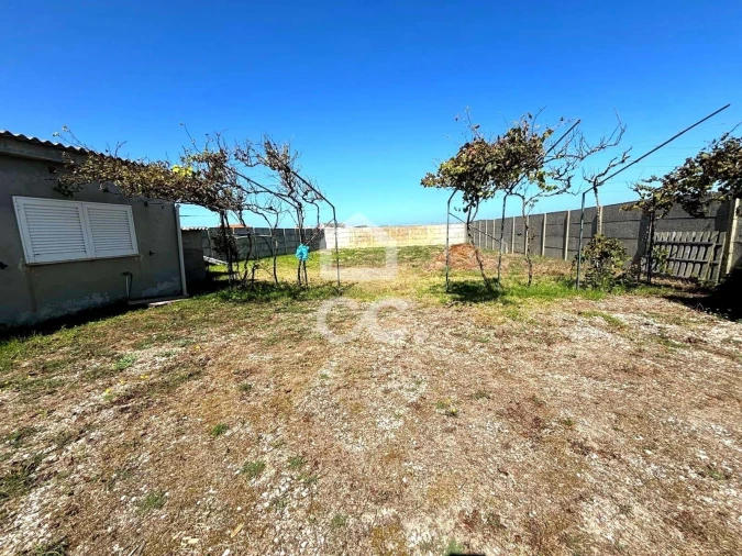 Terreno para Venda em Vieira de Leiria Foto 6