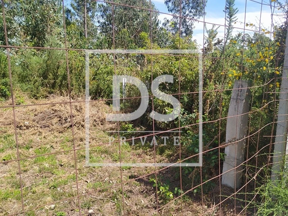 Terreno Agricola ou Rústico para Venda em São Roque Foto 3