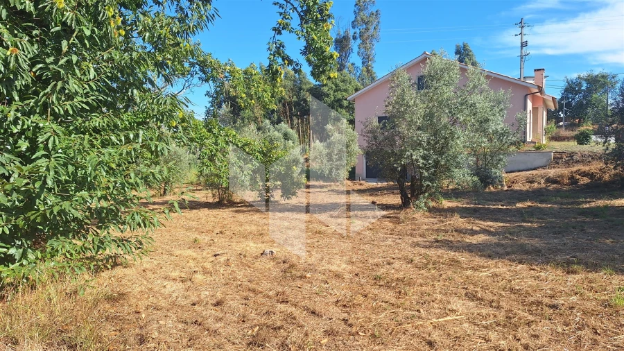 Moradia T0 para Venda em Dardavaz Foto 3