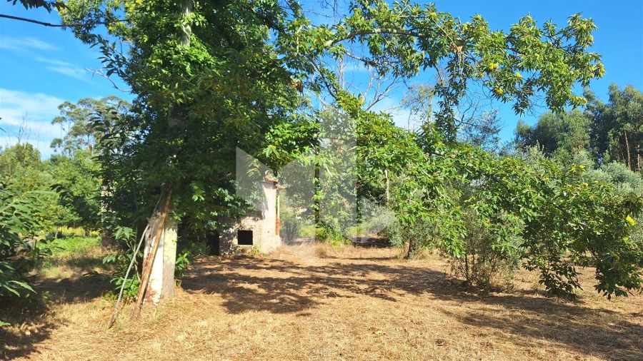 Moradia T0 para Venda em Dardavaz Foto 4