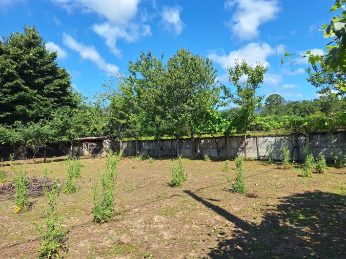 Terreno para Venda em Bordonhos Foto 2