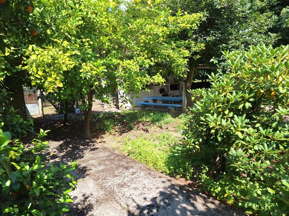 Moradia T4 para Venda em Bordonhos Foto 16