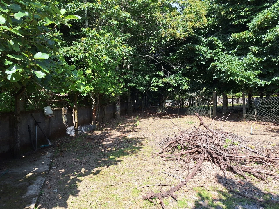 Moradia T4 para Venda em Bordonhos Foto 18