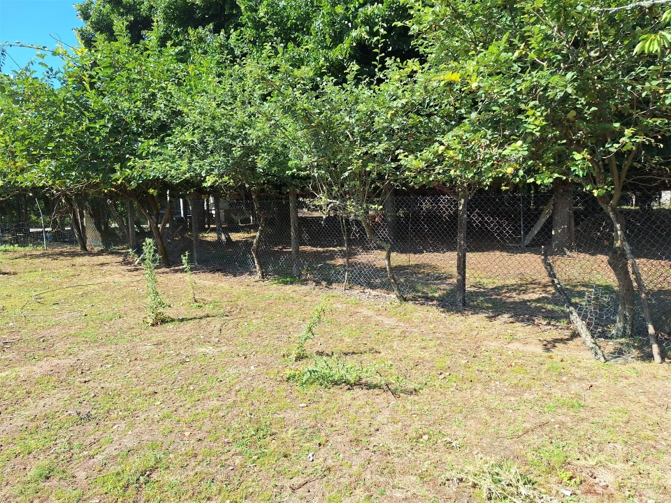 Moradia T4 para Venda em Bordonhos Foto 29