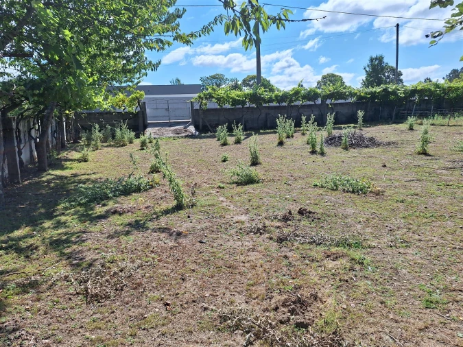 Moradia T4 para Venda em Bordonhos Foto 27