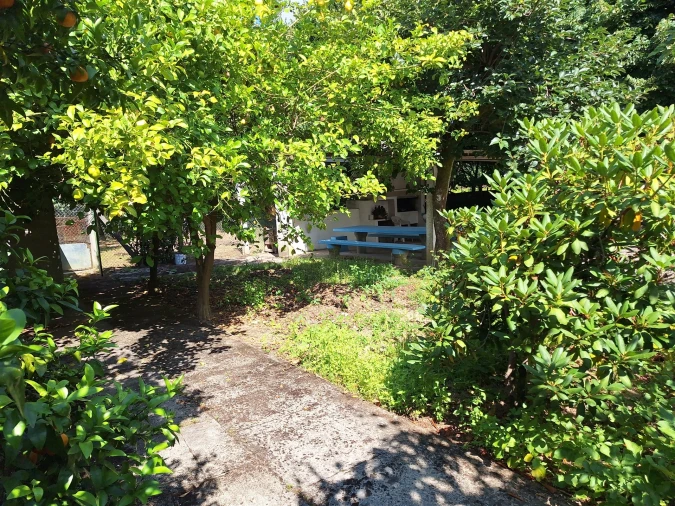 Moradia T4 para Venda em Bordonhos Foto 16