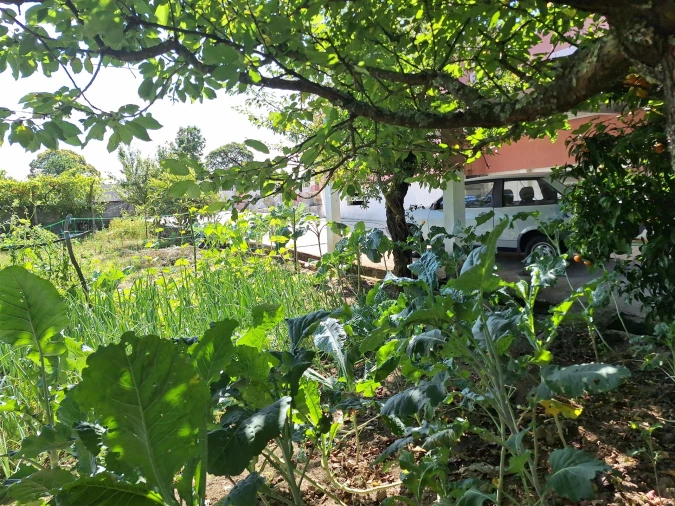 Moradia T4 para Venda em Bordonhos Foto 39