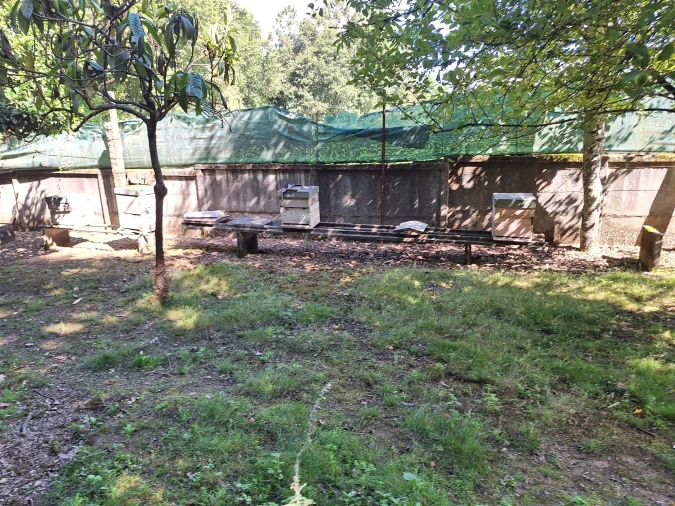 Moradia T4 para Venda em Bordonhos Foto 21