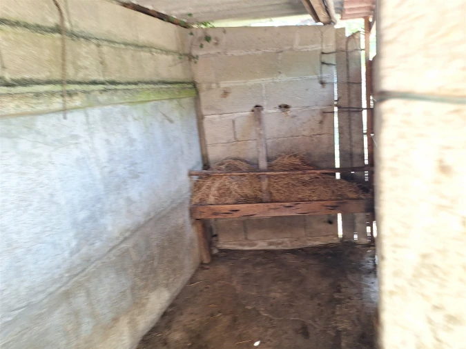 Moradia T4 para Venda em Bordonhos Foto 26