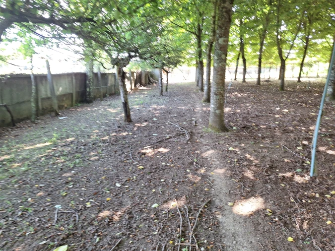 Moradia T4 para Venda em Bordonhos Foto 23