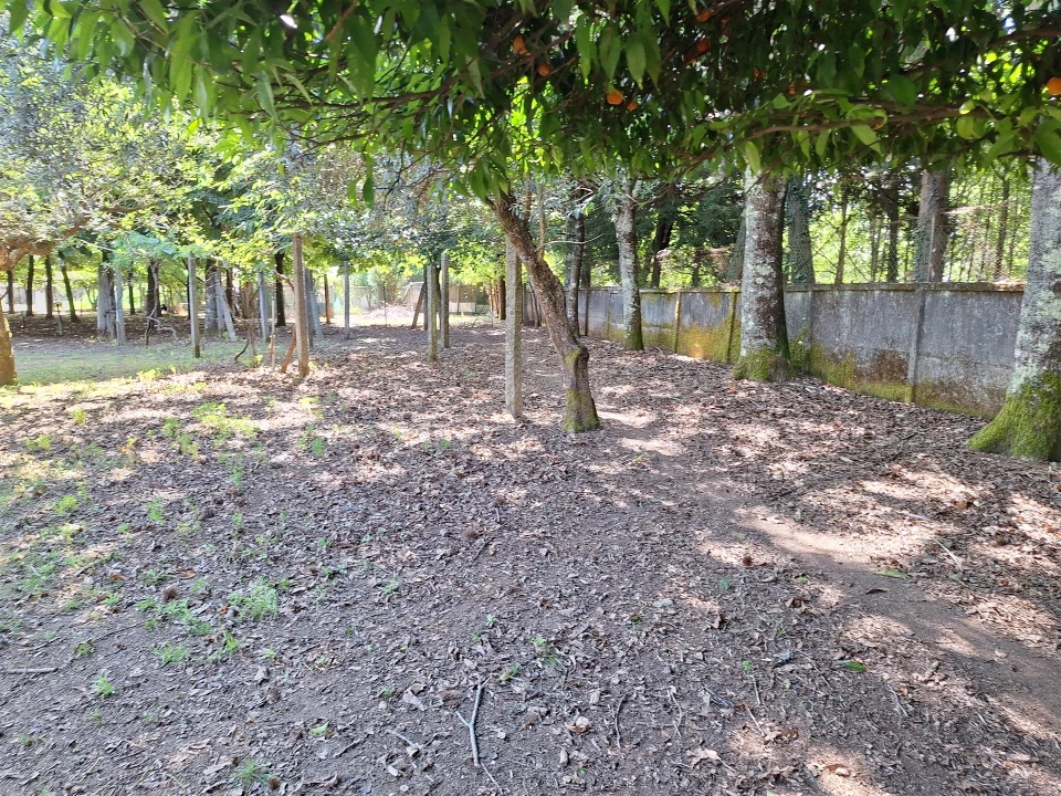 Moradia T4 para Venda em Bordonhos Foto 20