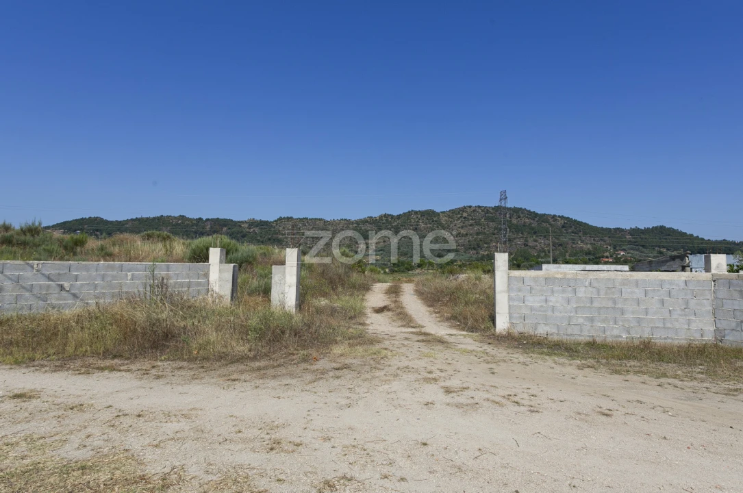 Terreno para Venda em Belmonte e Colmeal da Torre Foto 6