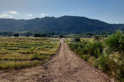 Terreno para Venda em Belmonte e Colmeal da Torre