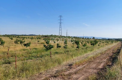 Terreno para Venda em Belmonte e Colmeal da Torre