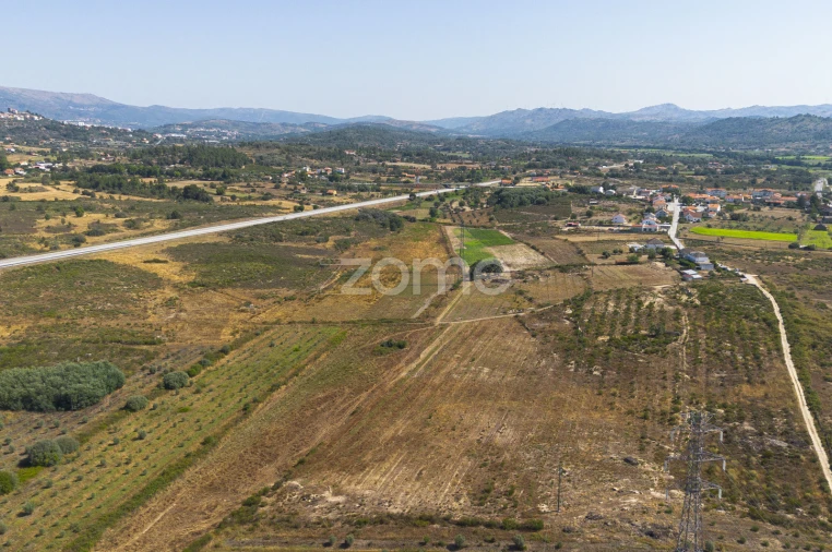 Terreno para Venda em Belmonte e Colmeal da Torre Foto 12