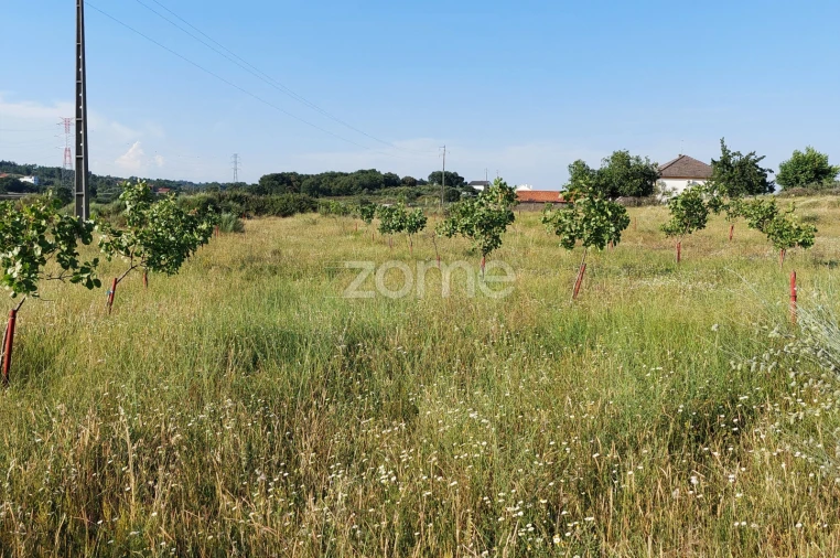 Terreno para Venda em Belmonte e Colmeal da Torre Foto 3