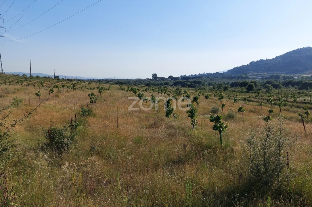 Terreno para Venda em Belmonte e Colmeal da Torre Foto 4