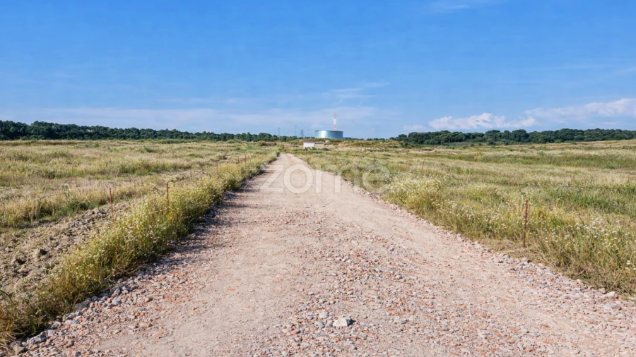 Terreno para Venda em Belmonte e Colmeal da Torre