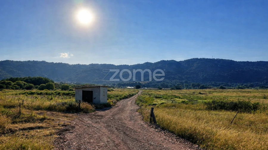 Terreno para Venda em Belmonte e Colmeal da Torre